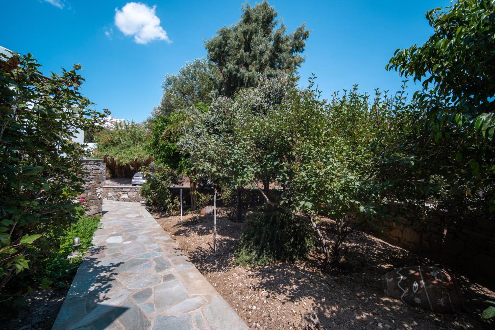 Palos Apartment Livadi (Serifos)